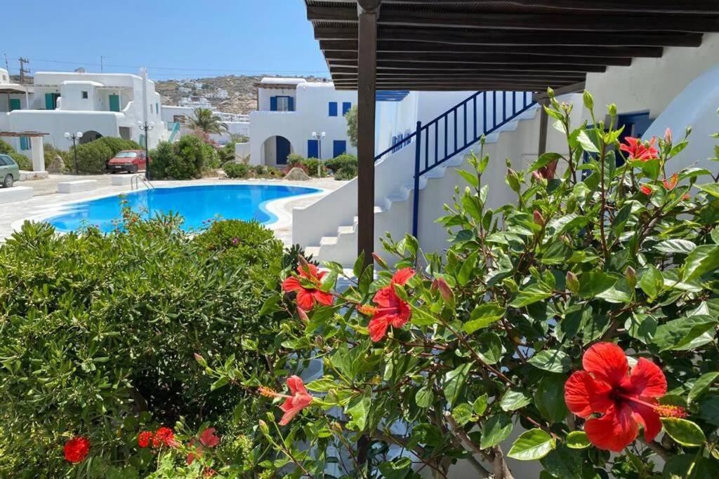 Pigeon House Ornos Beach Mykonos Town 外观 照片