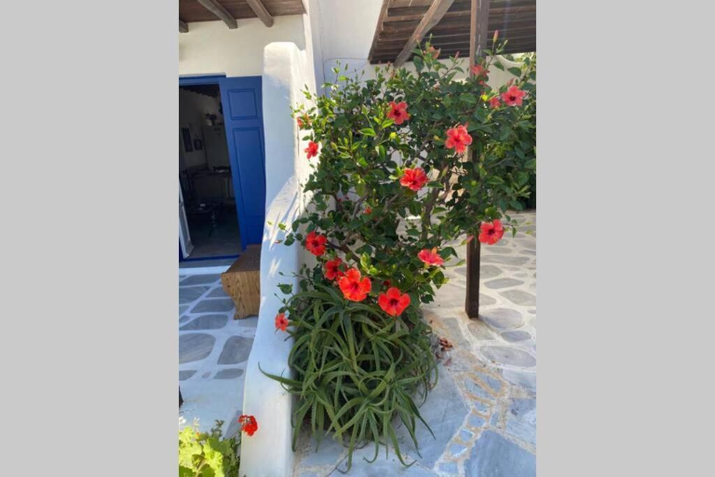 Pigeon House Ornos Beach Mykonos Town 外观 照片